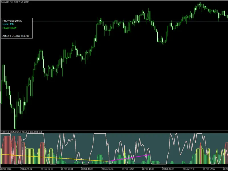 Fractal Maturity Oscillator FM O