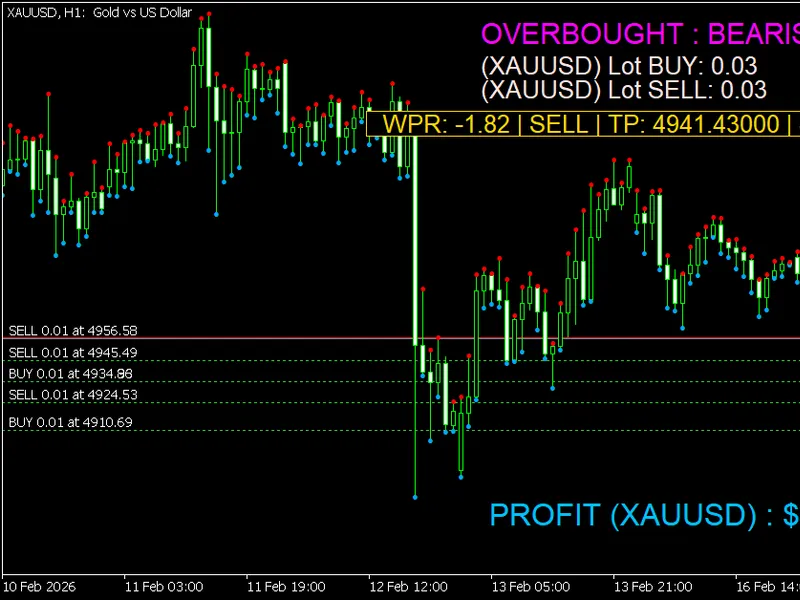 Tool to auto-Insert Take-Profit & Stop-Loss limits