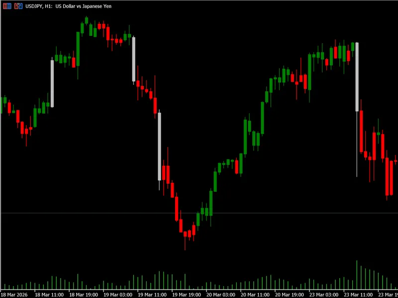 Momentum and news impact candles indicator MT5