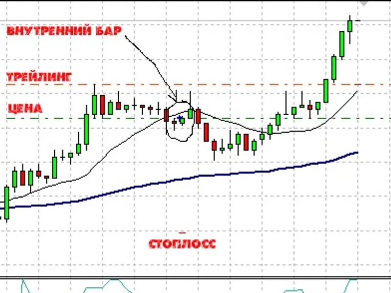 Profitable Trend Expert Advisor: Bulls script MT4