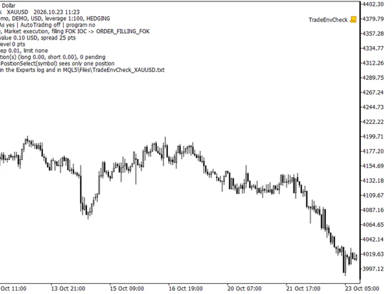 Trade Environment Check: Account Mode, Symbol Rules, and Open Positions Report script MT5