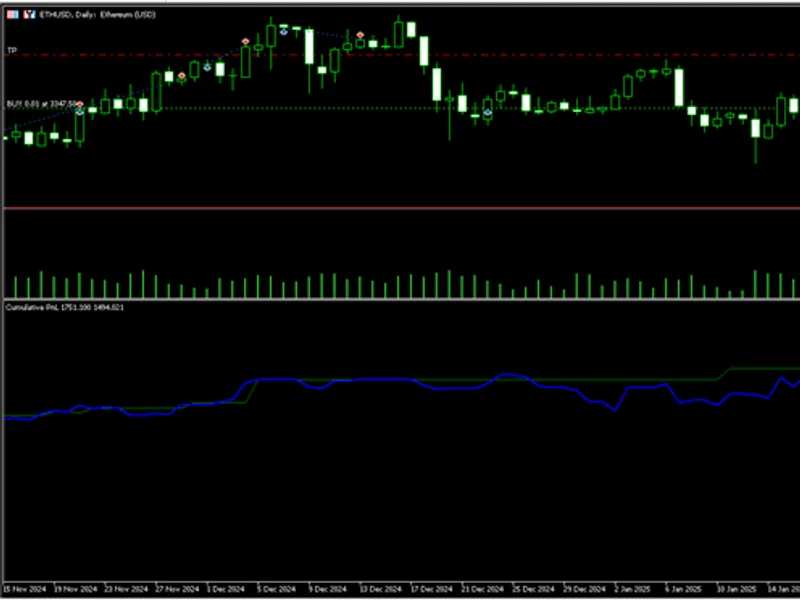 Equity and Balance Indicator - History based