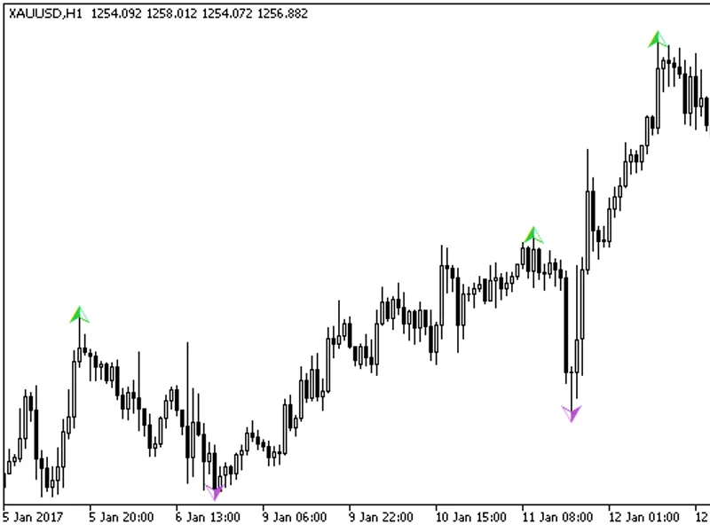 Boa Zig Zag Arrows HT F