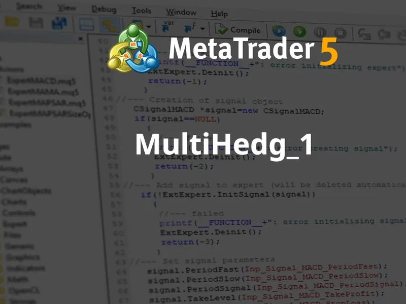 Multi Hedg 1