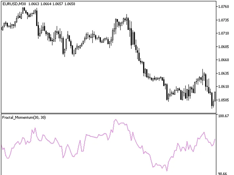 Fractal Momentum