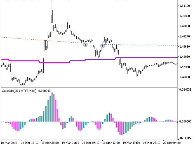 Exp X2 MA Digit DM 361