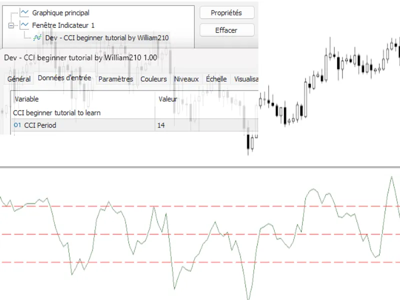Magnified Market Price