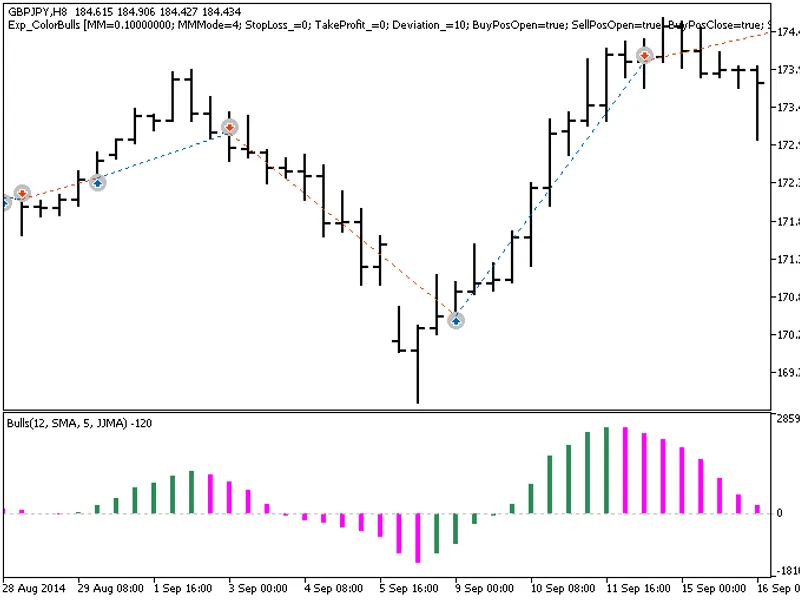 Exp Color Bulls