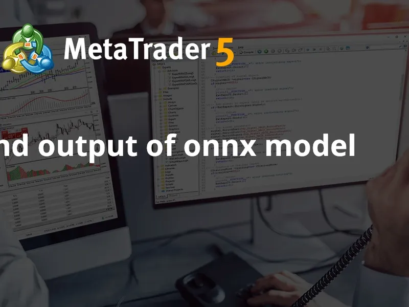 Input and output of onnx model