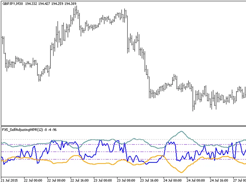 FX5 Self Adjusting WP R
