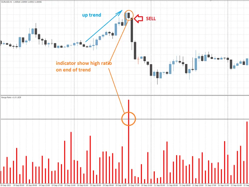 Fine Fractals MT F