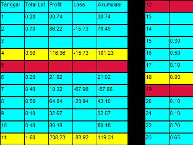 Daily Balance Sheet
