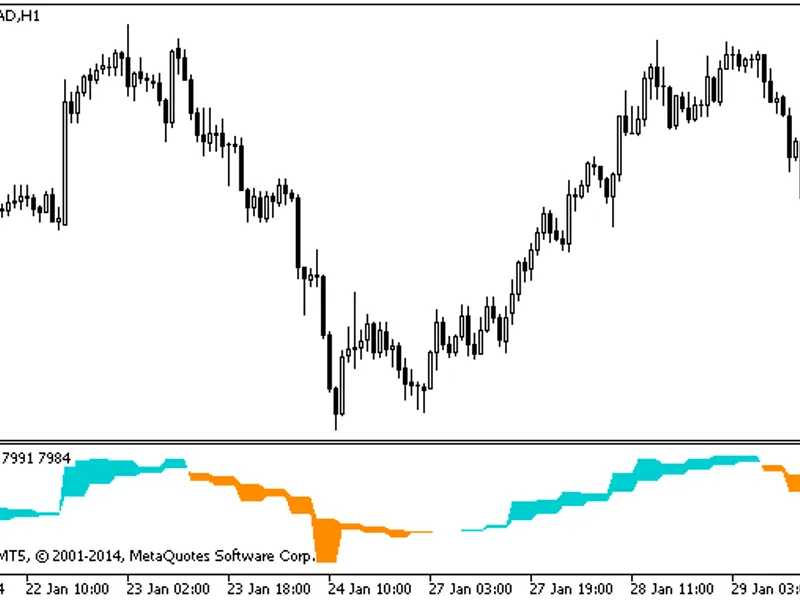 TT F+-+MW