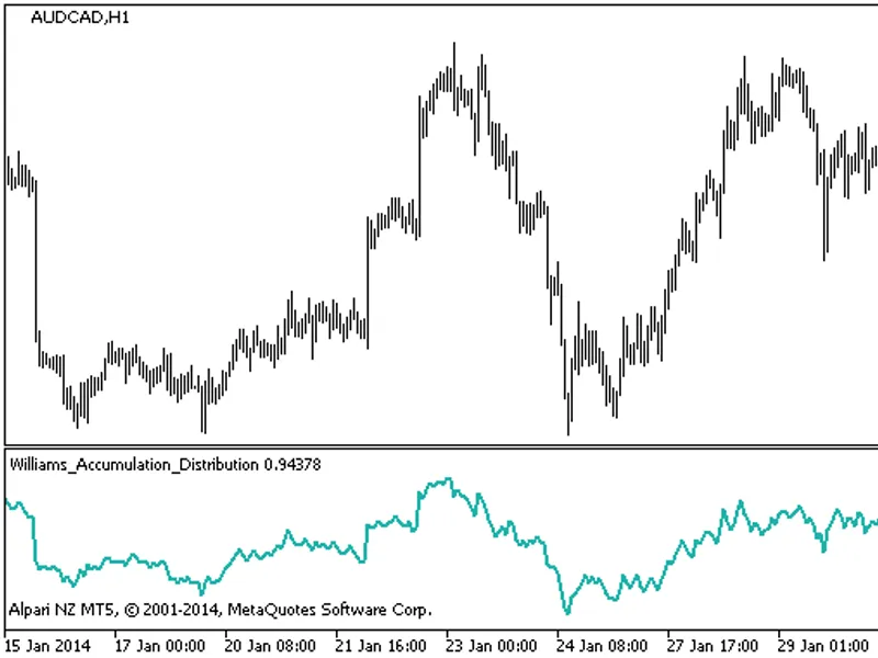 Wcci Chart