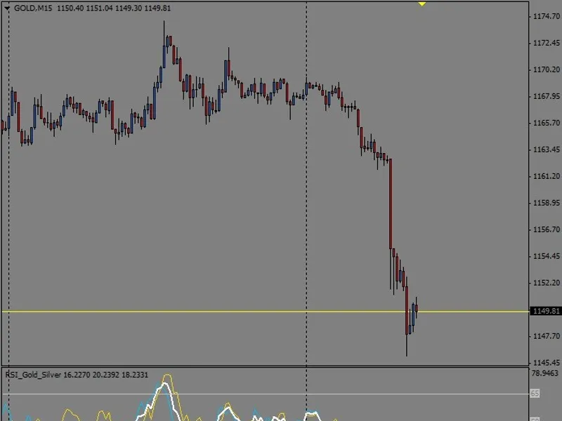 Multi Market RS I (GO L D-SIL V E R)