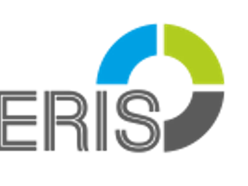 Bleris - Hedging Strategy