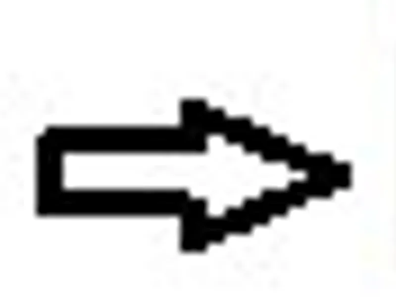 STRAD D L E NE W S