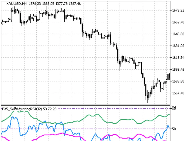 FX5 Self Adjusting RS I