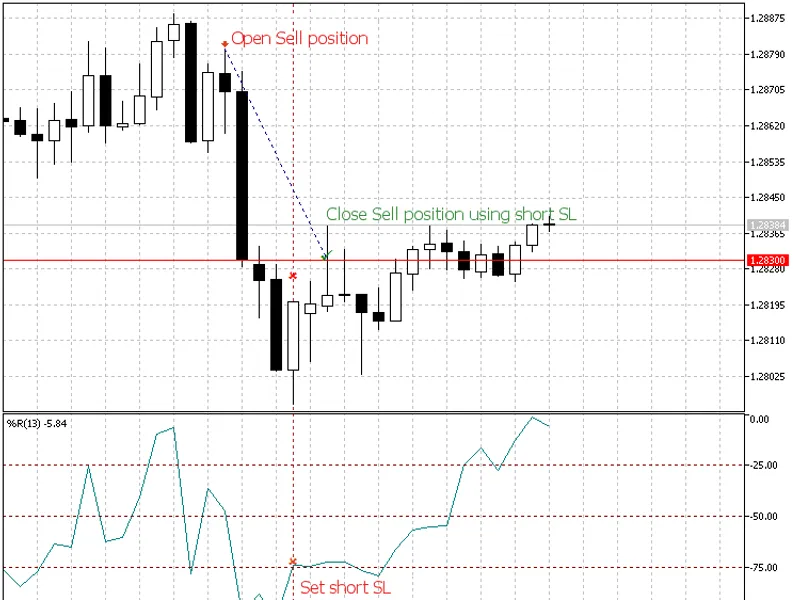 Auto Day Fibs