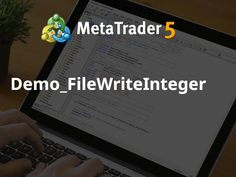 Demo File Write Integer script MT5