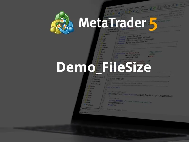 Demo File Size script MT5