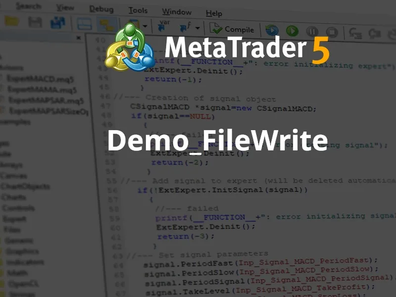 Demo File Write script MT5