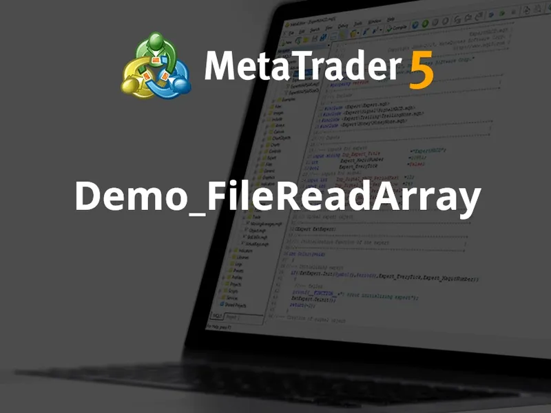 Demo File Read Array script MT5