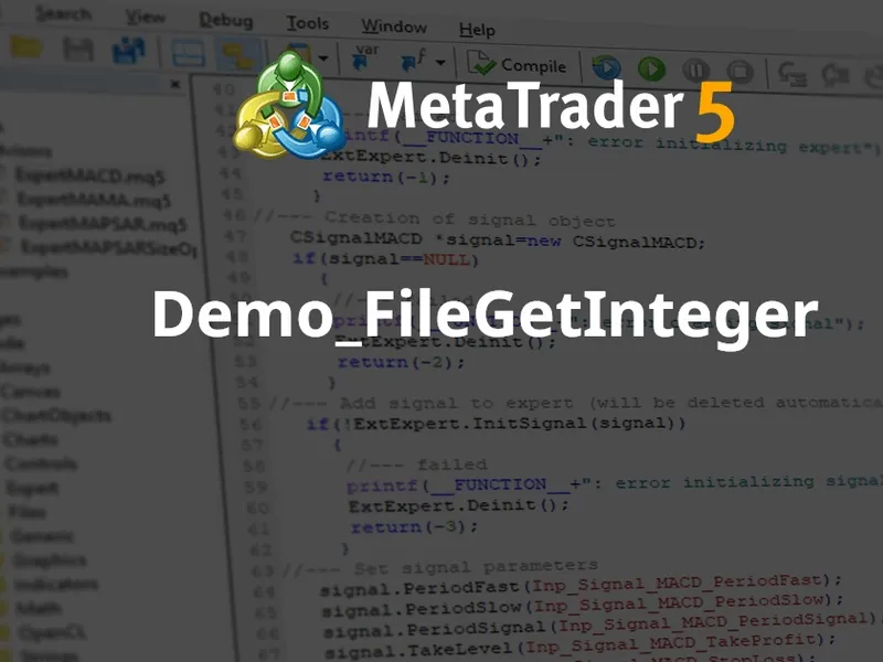 Demo File Get Integer script MT5