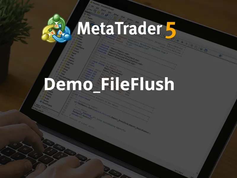 Demo File Flush script MT5