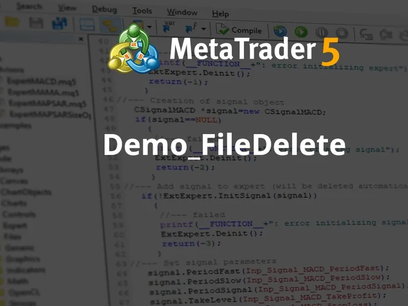 Demo File Delete script MT5