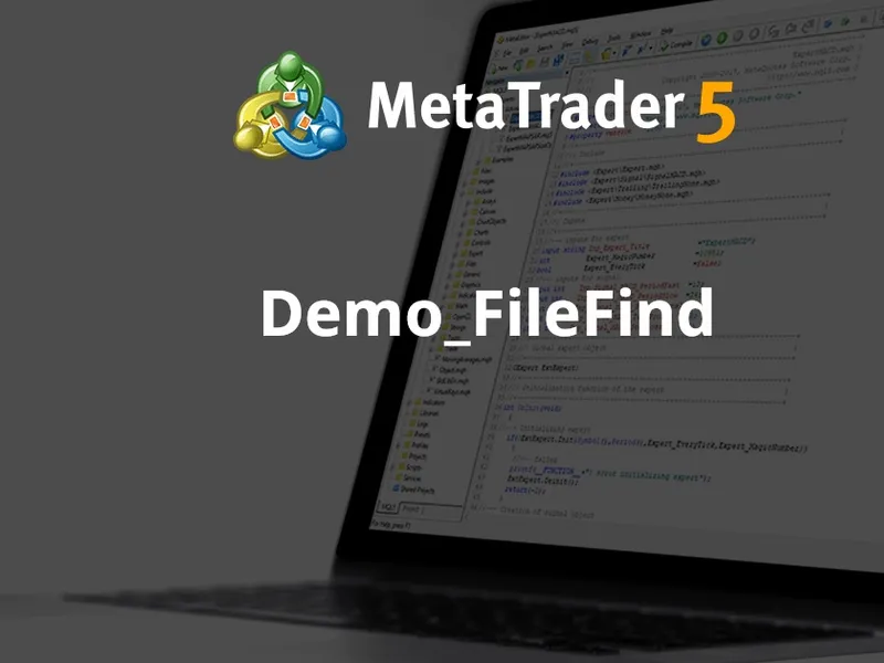 Demo File Find script MT5