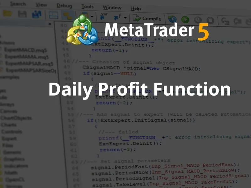 Daily Profit Function