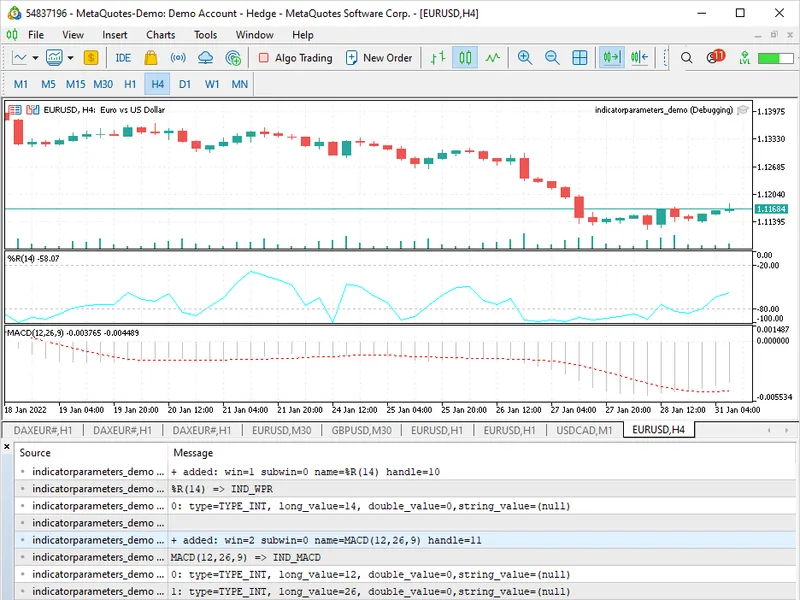 The Example of Indicator Parameters() usage